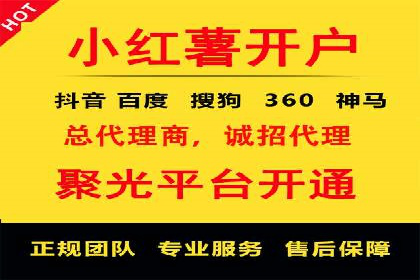 百度SEO推广成功案例：品牌知名度提升